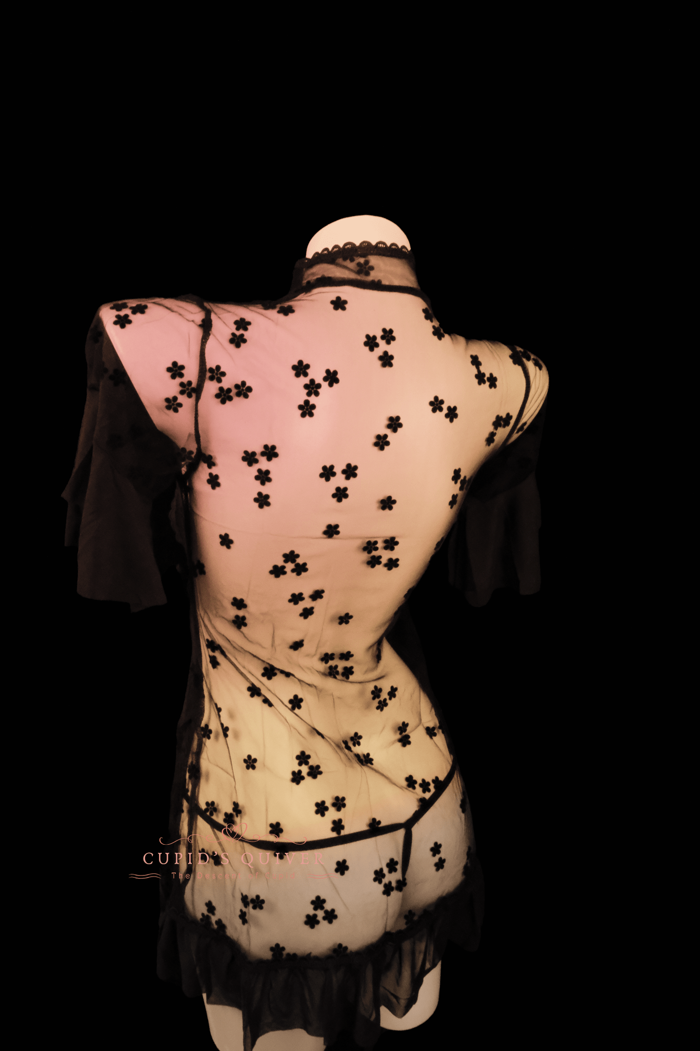 Flor de Noche - Cupid‘s Quiver